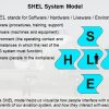 Understanding-our-SMS-SHEL-model-100x100